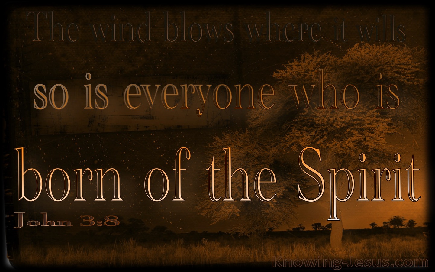 John 3:8 The Wind Blows Where It Wills (brown)